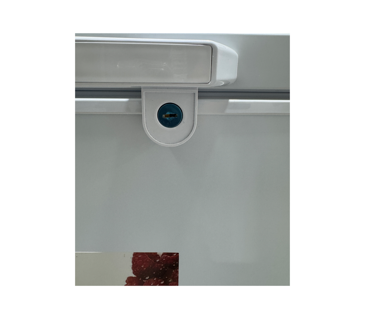 Congelador horizontal 300 litros blanco interior blanco TCL