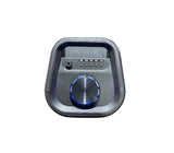 Corneta 6.5" x2 portátil 16W PA65DCS529 Sankey