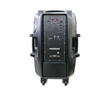 Corneta recargable 15" c/paral 30w Newkool