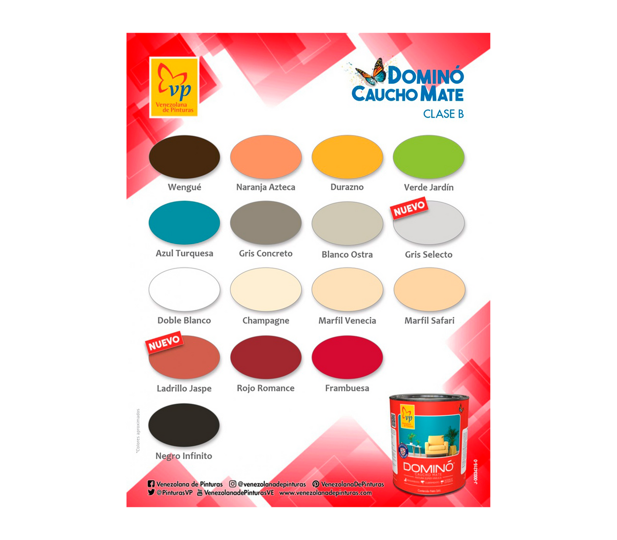 Pintura Domino Caucho Mate Interior - Exterior Clase B Vp