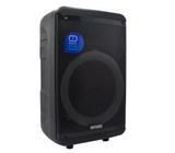 Corneta 12" 30W MYPS404T Mystic