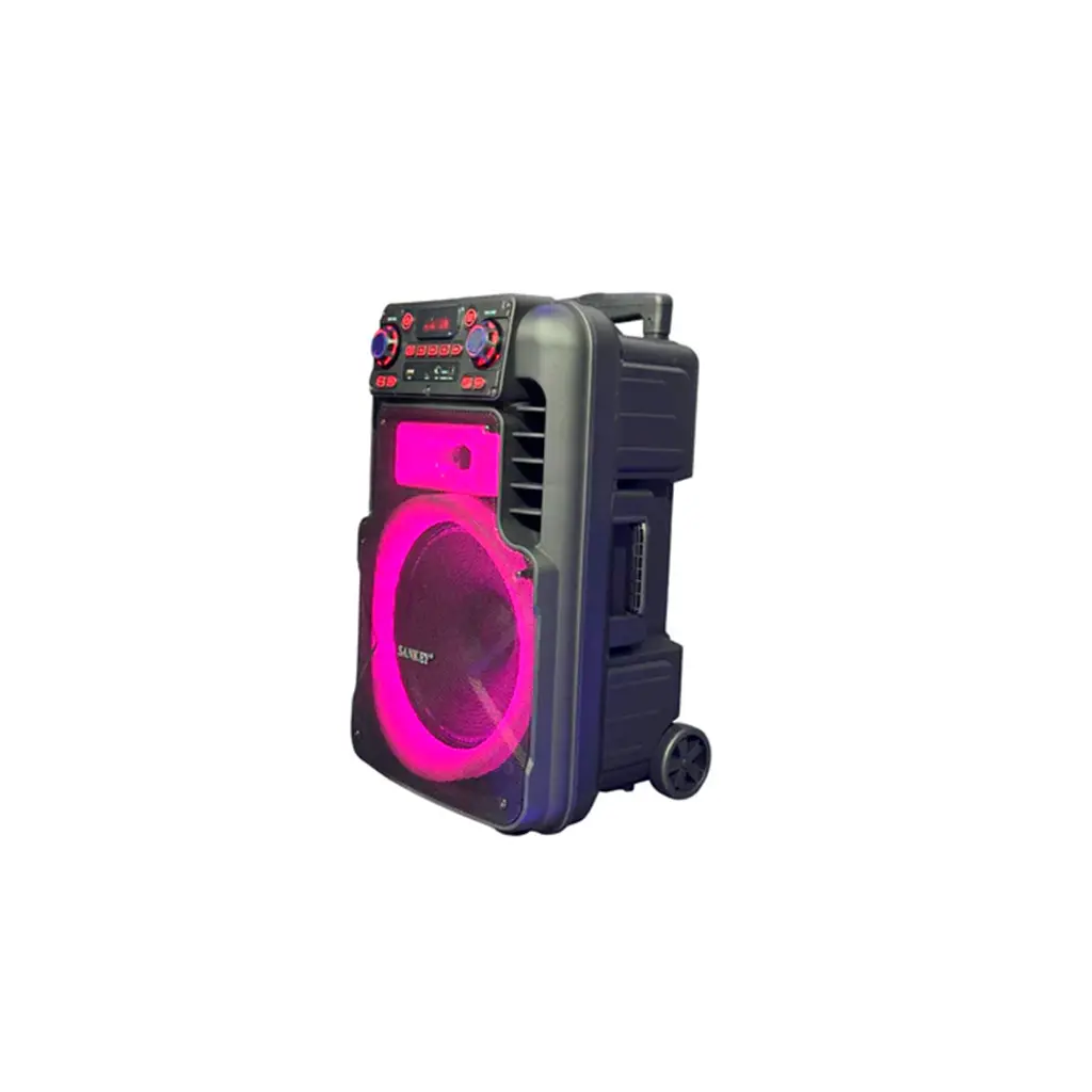 PA12DCM8TM Corneta recargable 12_ 50W TWS karaoke Sankey 2.webp